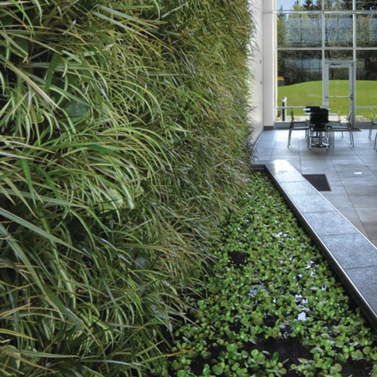 SchluterGreenWall_sq.tif