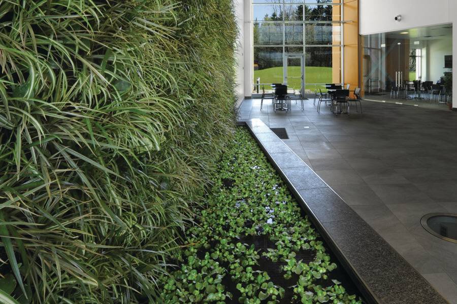 SchluterGreenWall_web.tif